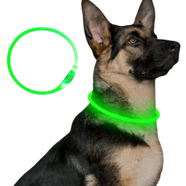 Pet Flashing Collar USB Rechargeable Glowing Necklace Safety Collar Light Up Collars For Night Walking Electric Dog Collar Neon