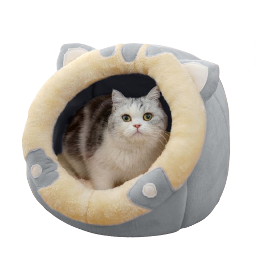 Cat House Villa